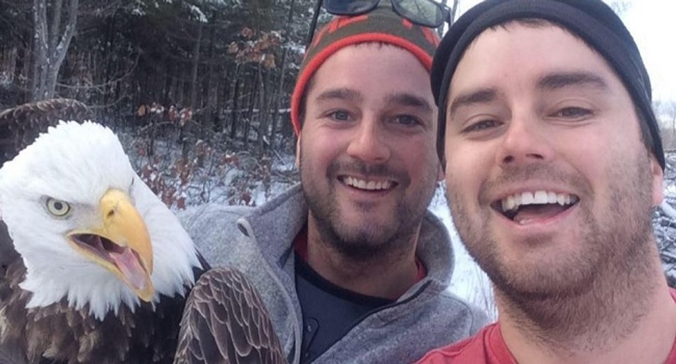 Ils font un selfie avec un aigle qu'ils viennent de sauver