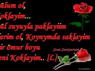 Sesini duymayı Özledim