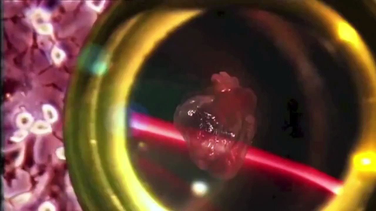 Tectónica de Placas - Parte II