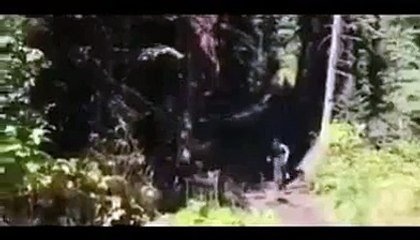 Amazing stunts you never watch this before