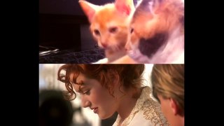 Titanic avec des chats _ Oui, c'est possible - vidéo Dailymotion