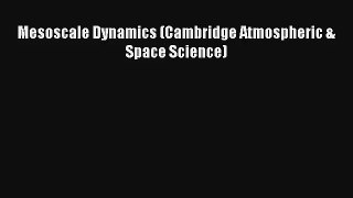 Read Mesoscale Dynamics (Cambridge Atmospheric & Space Science)# Ebook Free