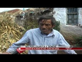 Nis përllogaritja e dëmeve nga përmbytjet - News, Lajme - Vizion Plus