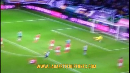 TEASER  FENNEC DU MOIS NOVEMBRE 2015