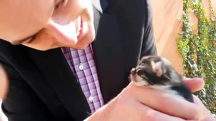 Anne kedinin yavrusunu koruma içgüdüsü hayrete düşürüyor