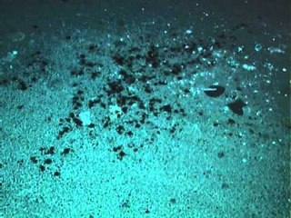 ATENTAT NE DURRES PLAGOSEN BABE E BIR NE MESNATE NE QYTETIN BREGDETAR LAJM