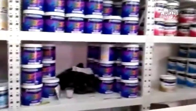 Altos precios disminuyen la venta de pinturas para esta navidad