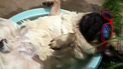Мое утро выглядит примерно так! Смотреть всем