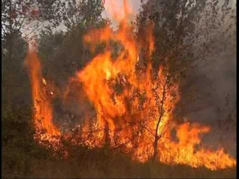 SHQIPERIA NE FLAKE SITUATA PARAQITET E RENDUAR NE DISA QYTETE TE VENDIT LAJM