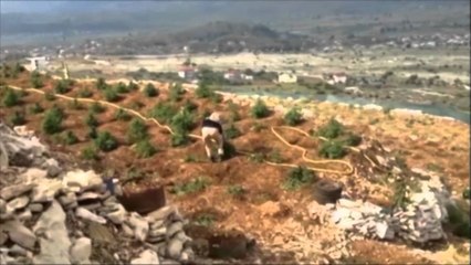 DOSJA E LAZARATIT PER NGJARJET E 2014