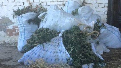 OPERACIONI I POLICISE NE VLORE ÇON NE QELI 8 PERSONA PER HASHASH DHE ARME LAJM