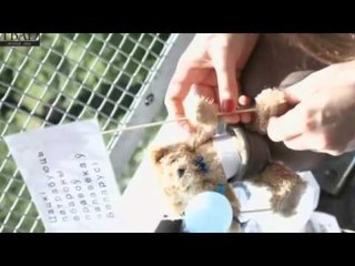 TENSIONE DIPLOMATIKE BJELLORUSIA DEBON STAFIN E AMBASADES SUEDEZE LAJM