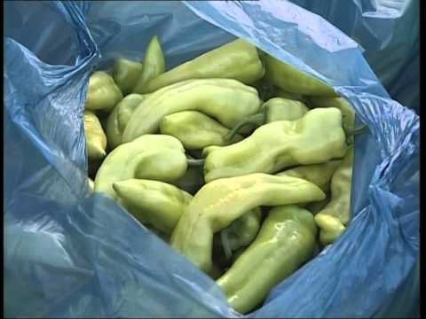 EKSPORTET BUJQESORE ZGJEROHET HARTA E PRODUKTEVE NE TREGUN EUROPIAN LAJM