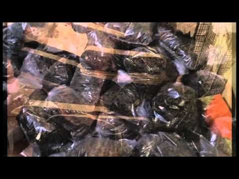 ZBULOHET NJE LABORATOR DROGE NE DURRES,KAPEN 700 KG HASHASH,PRANGA 7 BIZNESMENEVE LAJM