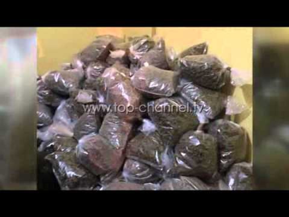 Durrës, sekuestrohen 700 kg kanabis, 7 të arrestuar - Top Channel Albania - News - Lajme