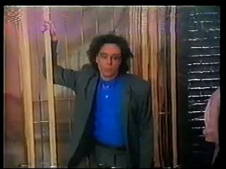 Jules Shear - Steady