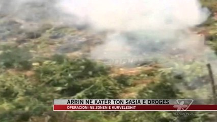 Arrin në 4 ton sasia e drogës në zonën e Kurveleshit - News, Lajme - Vizion Plus