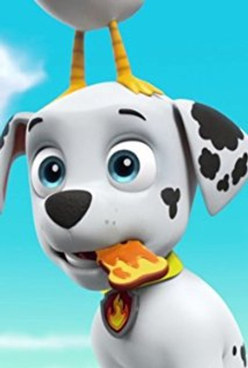 Paw Patrol Academy Game - Paw Patrol Cartoon Nick JR English - Paw Patrol full Episodes - Cartoon Network Movies 2015._1