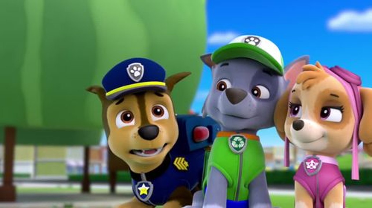 Paw Patrol Academy Game - Paw Patrol Cartoon Nick JR English - Paw Patrol full Episodes