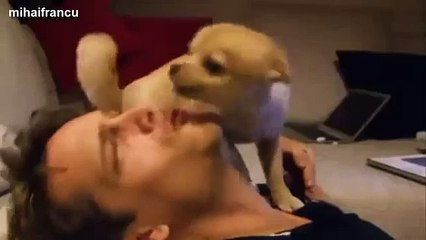 Cutest Puppies Howling Compilation 2014 [NEW]