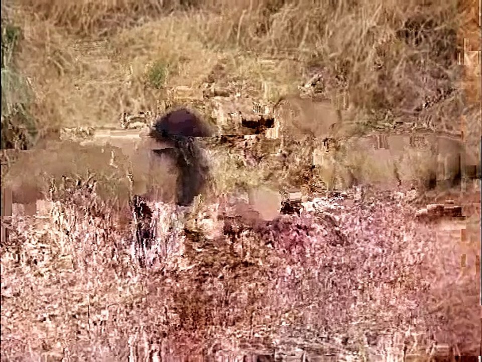 Lions fighting over kill good