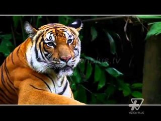 Bypass Show - 25 Tetor 2015 - Pjesa e dytë - Show - Vizion Plus