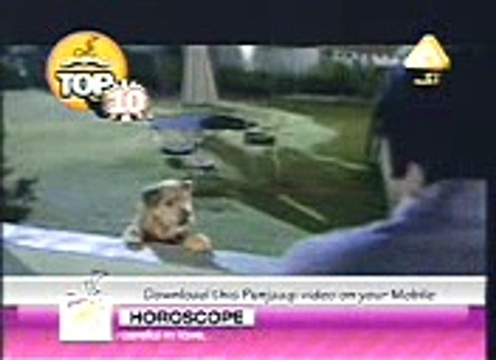 funny clip video Dog
