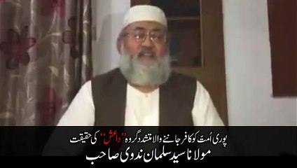 Daesh Ki Haqeeqat - Maulana Salman Nadvi Sb