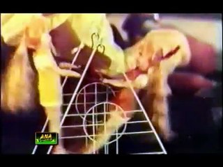 MEHDI HASSAN - SAU BARAS KI ZINDAGI - INSAF AUR QANOON