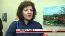 “Ditët e Mios” në Korçë - News, Lajme - Vizion Plus