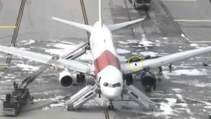 MERR FLAKE NJE AVION NE FLORIDA SHPETOJNE PASAGJERET VETEM DISA TE PLAGOSUR LAJM