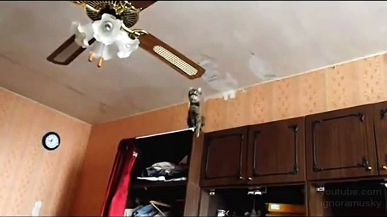 So close! (Не удержался)