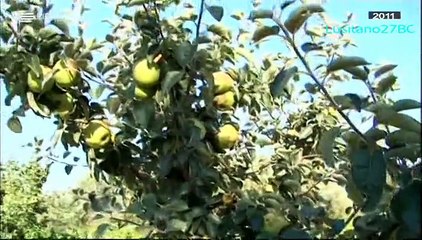 Viagem ao Centro da Minha Terra, Ep.7, Miranda do Douro - RTP Memória
