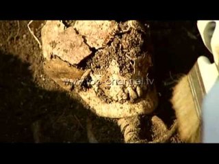 Kosovë, zbulohen gjurmë të vendbanimit romak - Top Channel Albania - News - Lajme