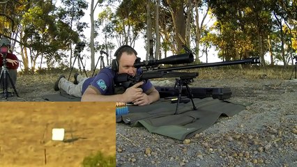 223 at 1850 yards (target system insight)