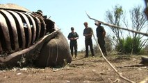 Prince Harry visibly moved by rhino poaching in South Africa