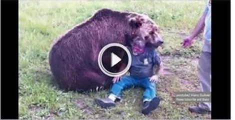 Bear Fight with a Man in Russia