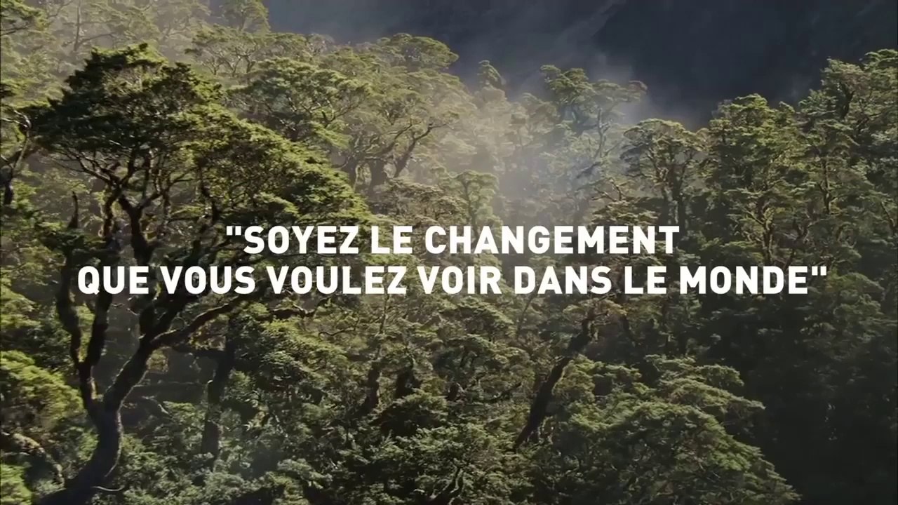 Reportage One Heart One Tree