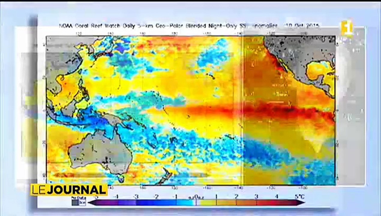Rémy Canavesio,  chercheur en géographie au laboratoire CNRS-CRIOBE