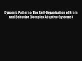 Dynamic Patterns: The Self-Organization of Brain and Behavior (Complex Adaptive Systems) Read