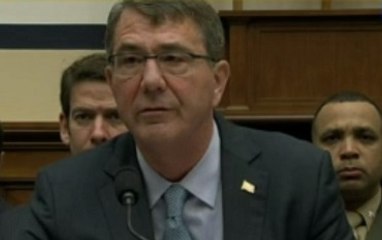 Глава Пентагона: Турция "недостаточно" борется с террористами