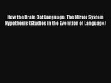 How the Brain Got Language: The Mirror System Hypothesis (Studies in the Evolution of Language)