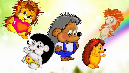 Finger Family Hedgehog Finger Family Finger Family Songs Finger Family Parody