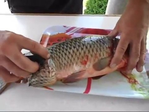 Хороший совет!