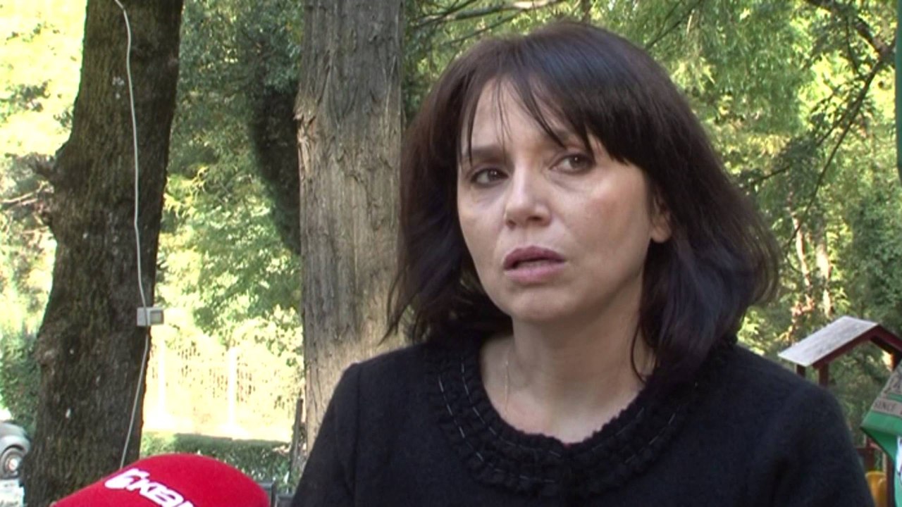 "TOKEMJALTA" E ENIT KARAFILI STEINER
