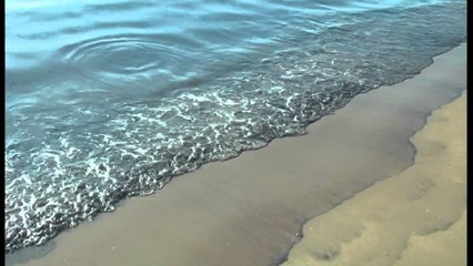 HETIMET PER NDOTJEN E DETIT,ANIJET SHKARKOJNE MBETJET PER TE SHMANGUR TAKSAT LAJM