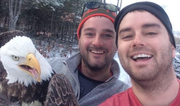 Deux frères sauvent un aigle pris dans un piège et font le selfie de l'année