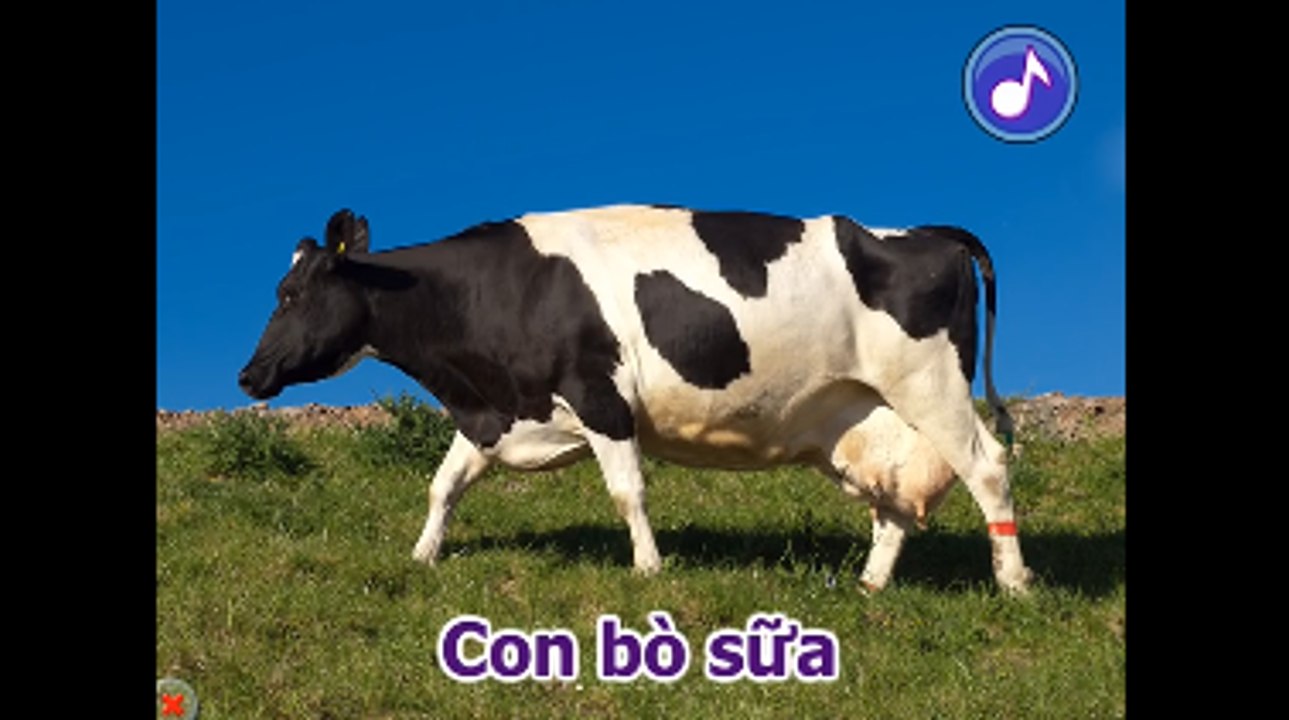 Tiếng kêu các loài động vật - Dạy bé nhận biết các loài vật