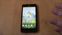 FIFA Theme for Sony XPERIA smartphones