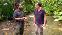 Geld für Artenvielfalt in Costa Rica | Wissen & Umwelt